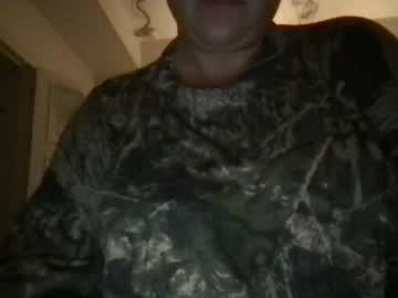 ddtibbies101